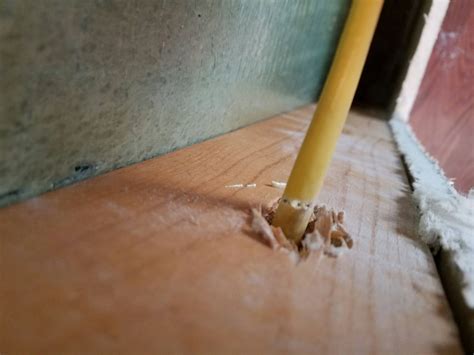 insulation nick repair in wiring